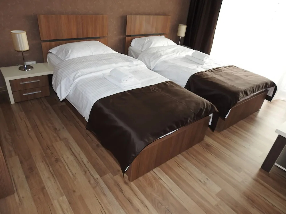 Standard Double room with city view (twin beds)