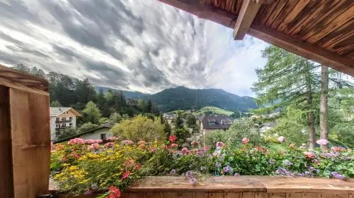 Balcony & Terrace