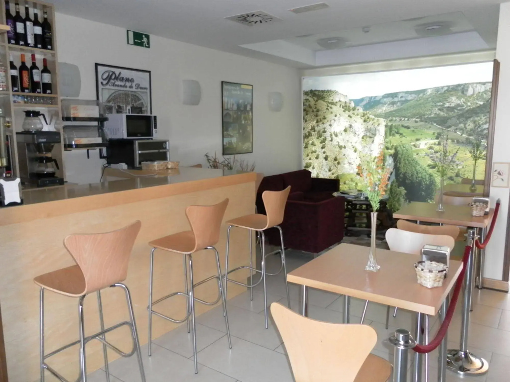 Hotel Milagros Rio Riaza - Général