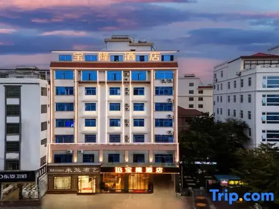 Baolong Business Hotel (Oriental High-speed Railway Station)