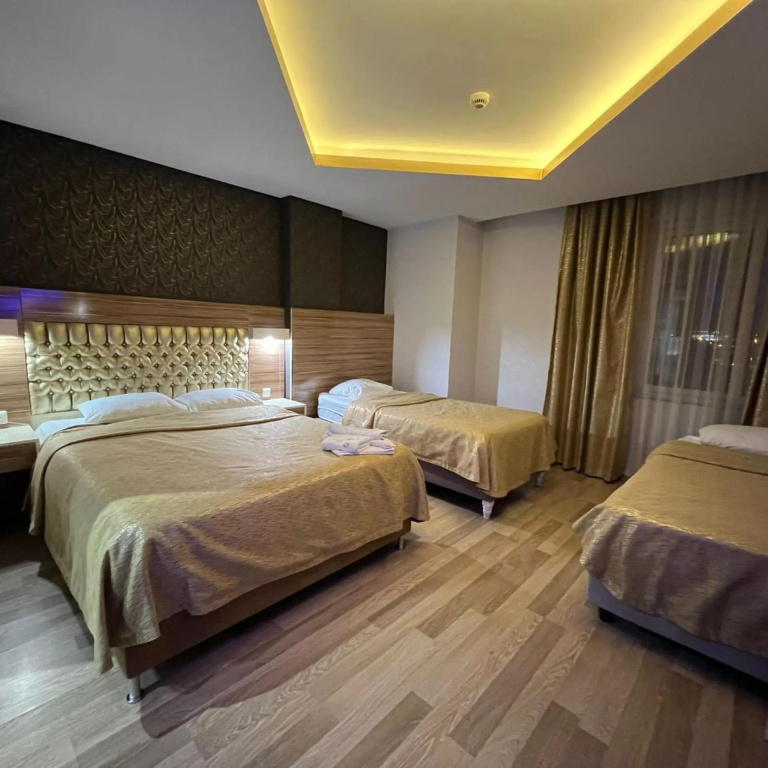 Grand Ezel Hotel - Général
