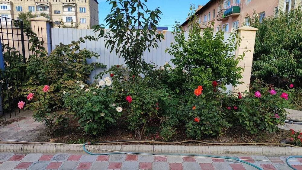 Номер Comfort в Тагайтай Каракол
