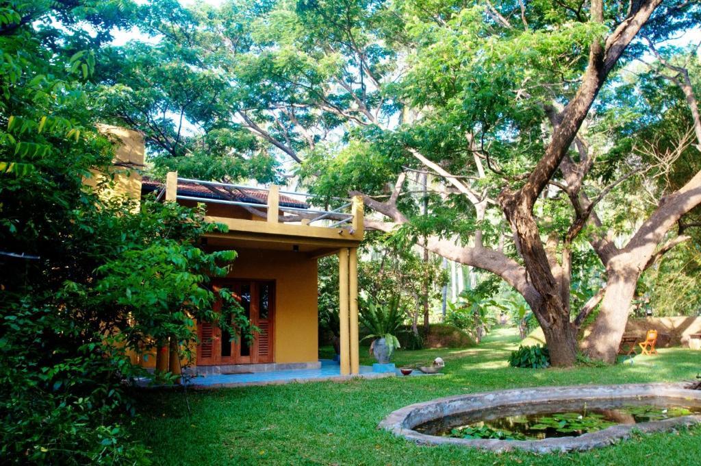 Raintree