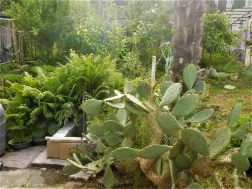 Guesthouse on Adleiba 75 - фото 2