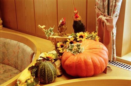 Отель Gästehaus Elvia, фото 16