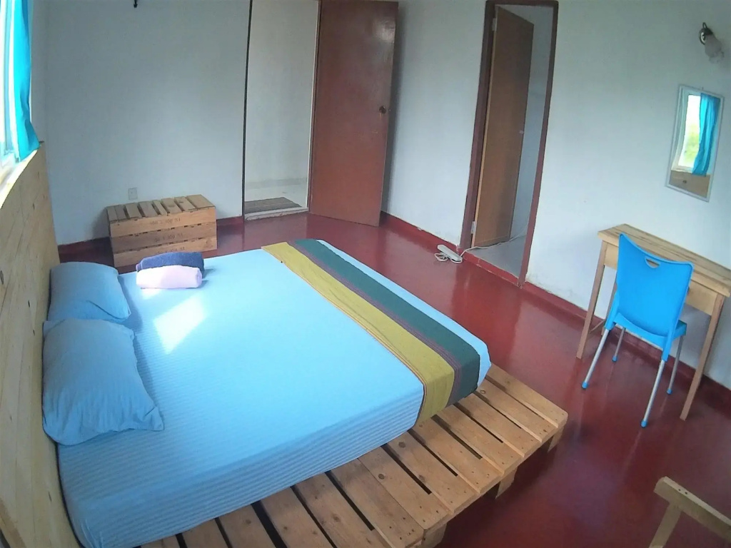 The Pallet House