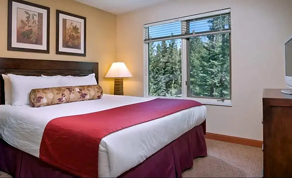 1 Bedroom Suite