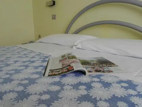 Hotel Senio - Général