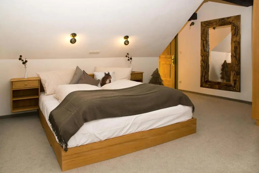 Bödele Alpenhotel - Chambres