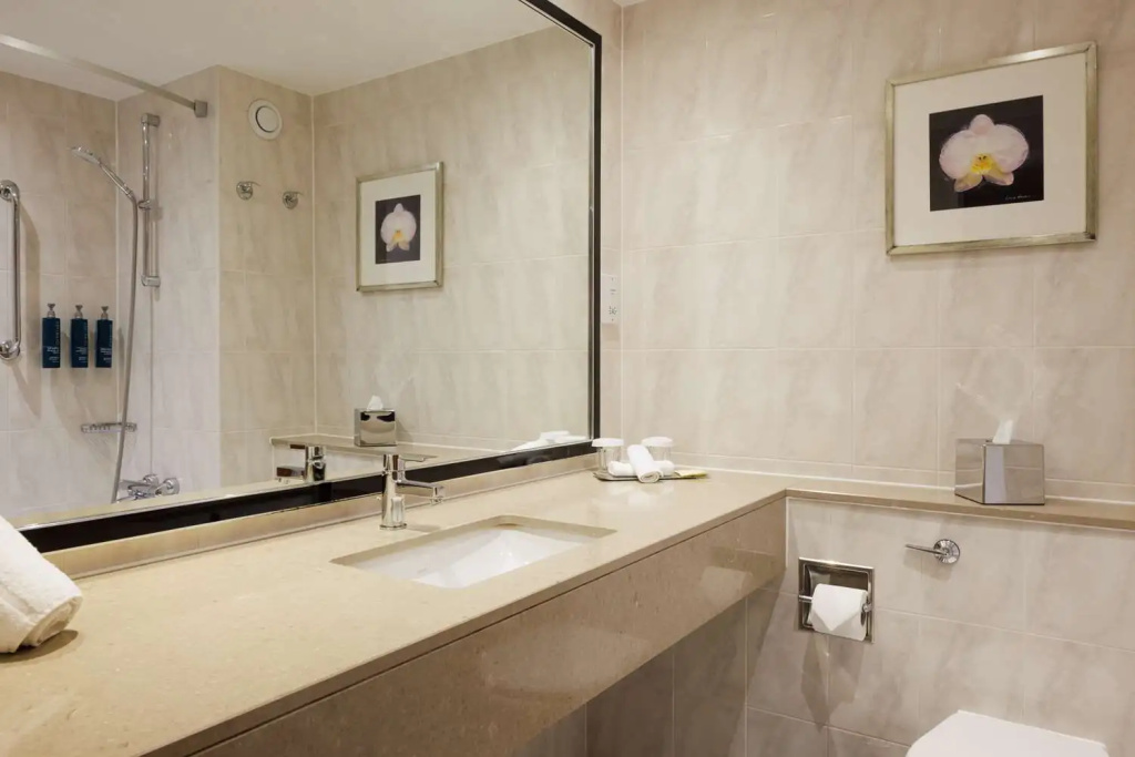 DoubleTree by Hilton Hotel Woking - Général