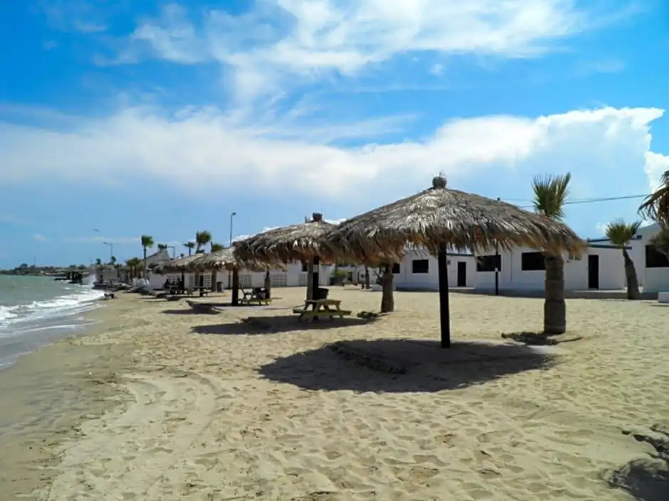 Beach & Waterfront