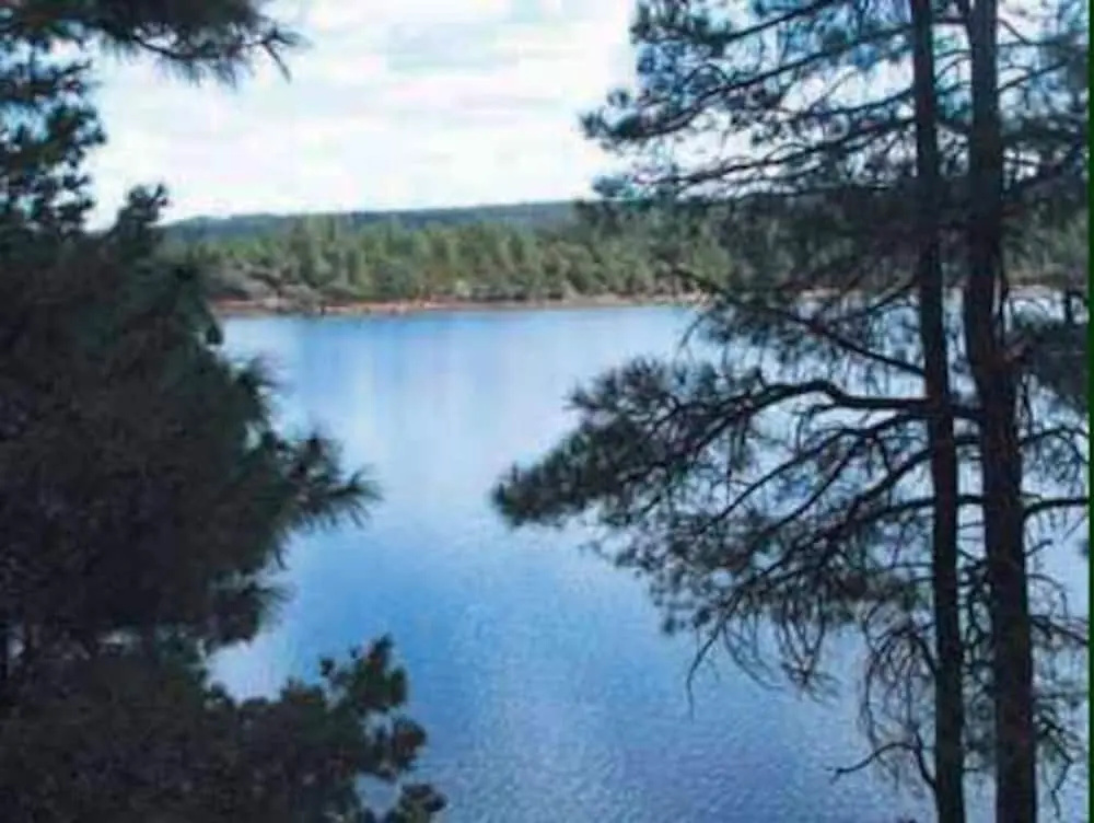 Pinetop Forty Niner 2 Bedroom Cabin