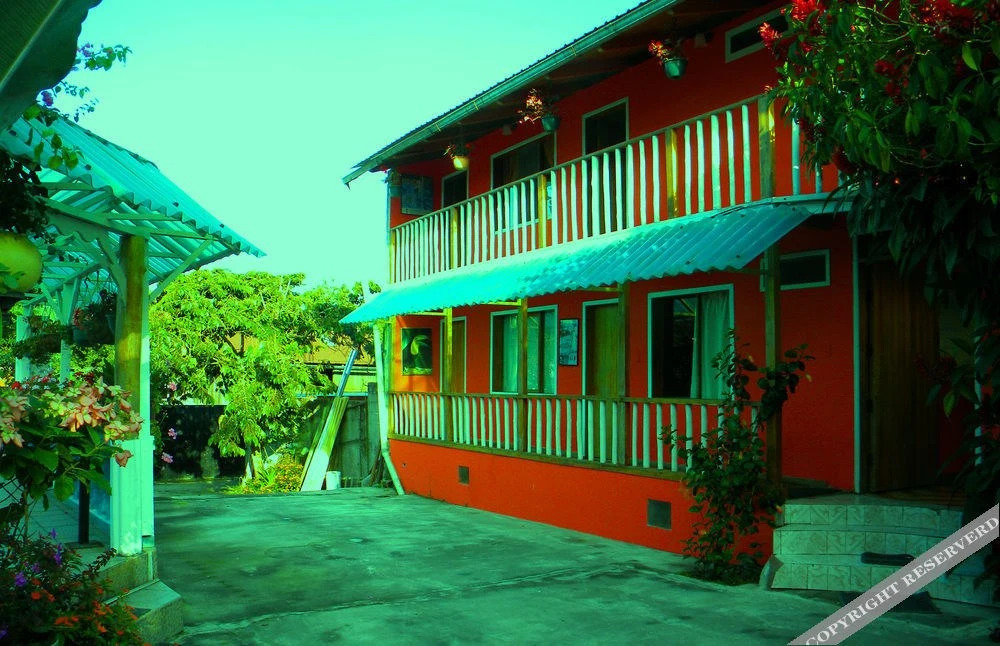 Jardin De Los Pajaros