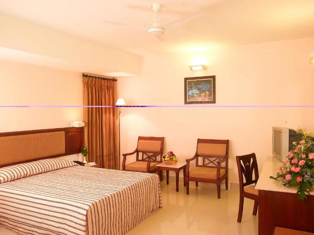 Deluxe Double room (full double bed)