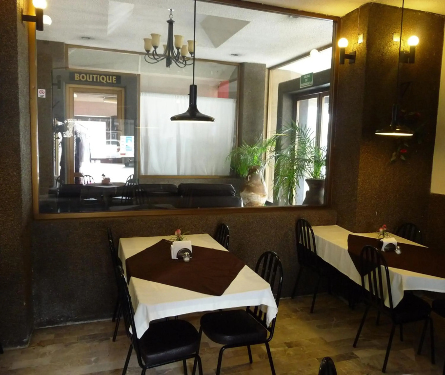 Hotel Flamingo Kristal - Général