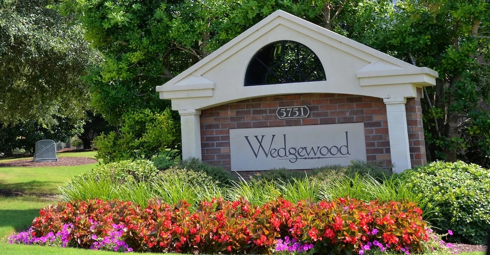 223 Wedgewood