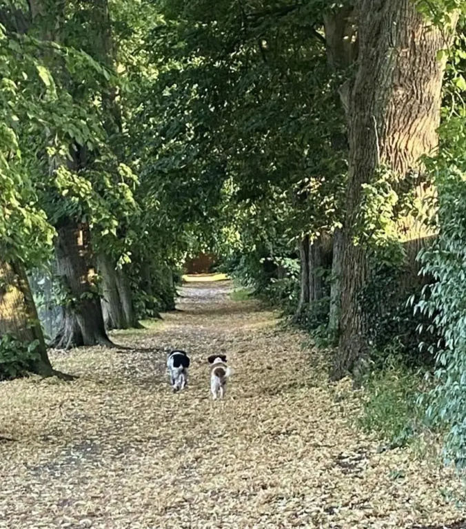 Self Contained, 2 Person dog Friendly Apartment. Free Parking