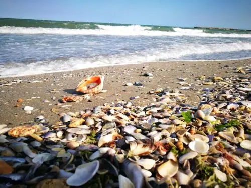 Beach & Waterfront