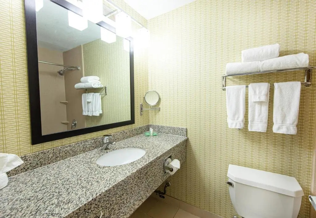 Holiday Inn St. Louis Arpt West-Earth City by IHG - Chambres