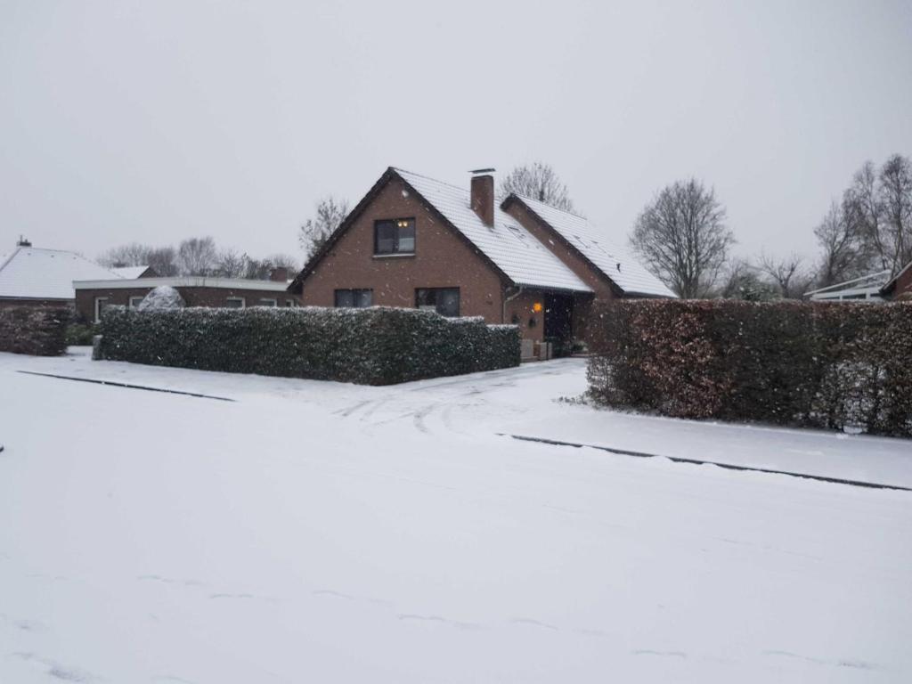 Image 19
