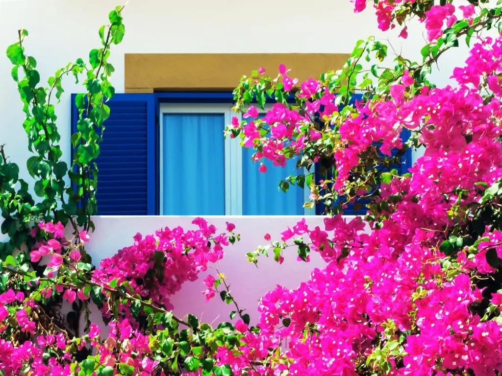 Patmos Paradise Hotel - Chambres