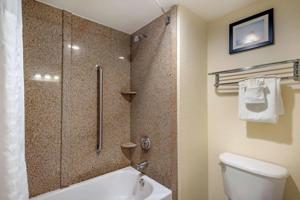 Comfort Inn Kissimmee-Lake Buena Vista South - Général