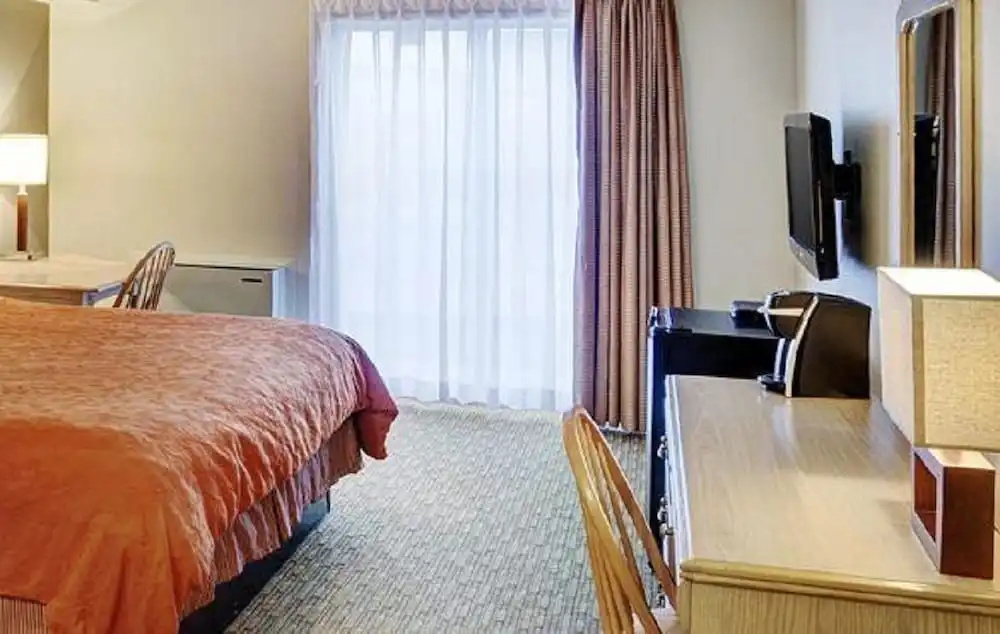 Hotel photo 7