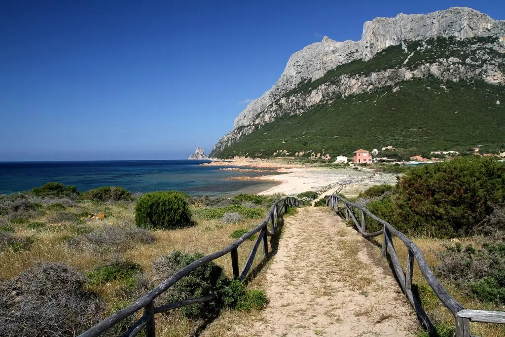 Beach & Waterfront