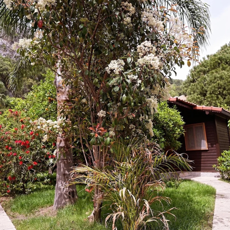 2 Bedrooms Bungalow with balcony