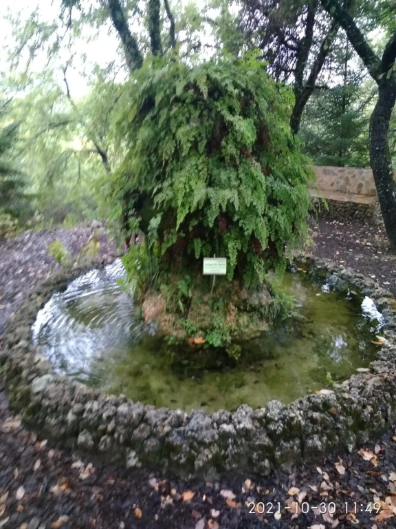 Casa Romero
