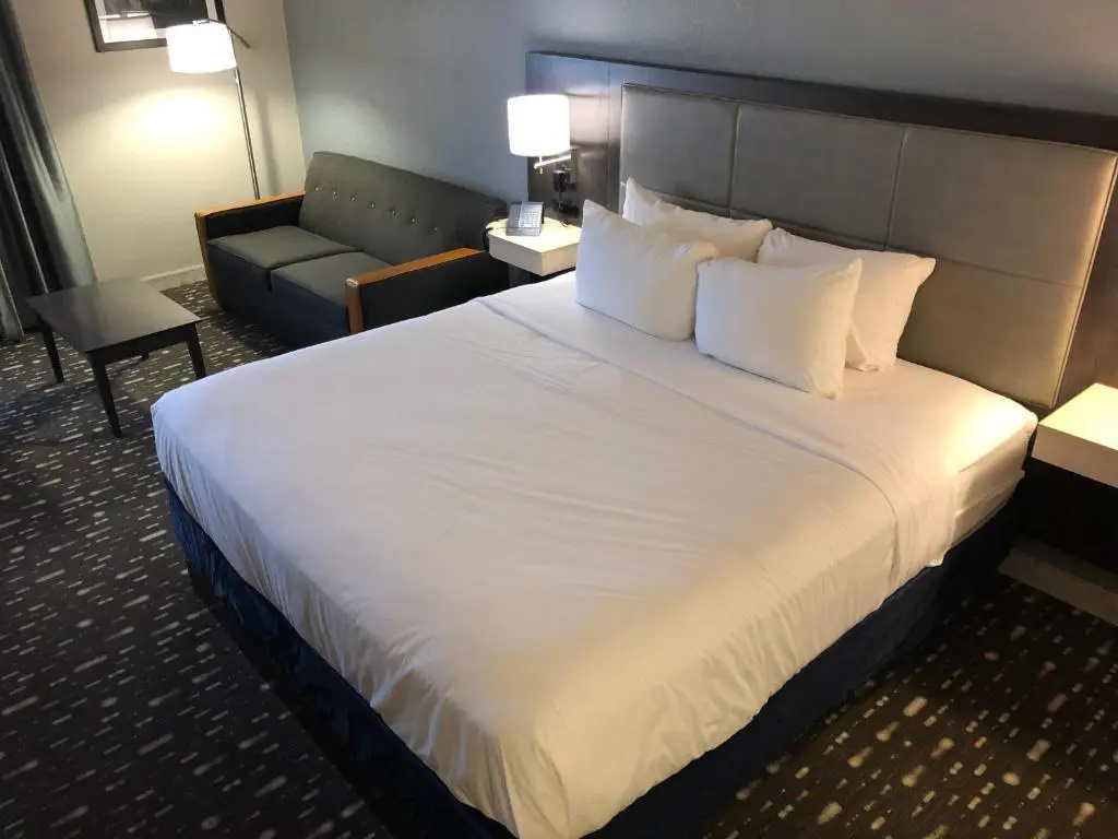 Holiday Inn Express Auburn - Chambres