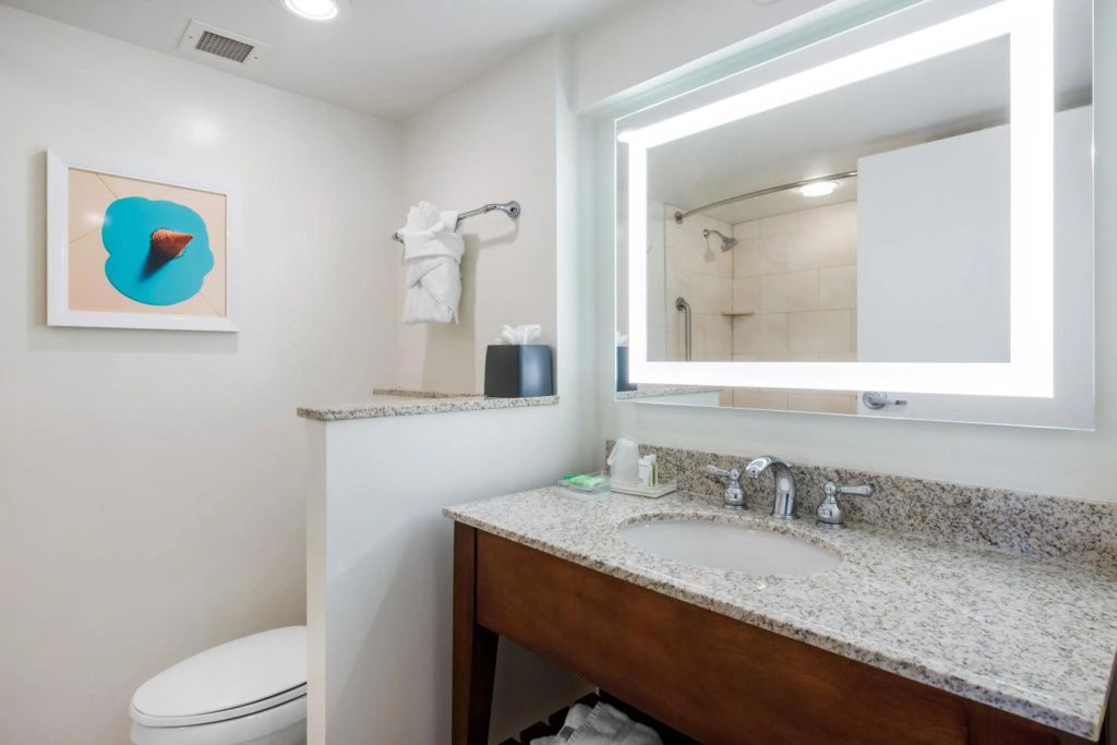 Holiday Inn Orlando - Disney Springs® Area by IHG - Général