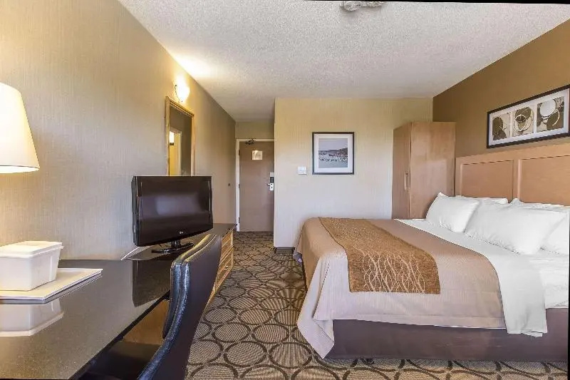 Comfort Inn Corner Brook - Chambres