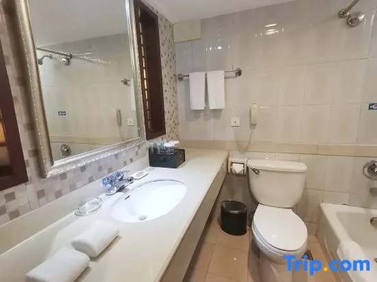Zhuzhou Ambassador Hotel - Chambres