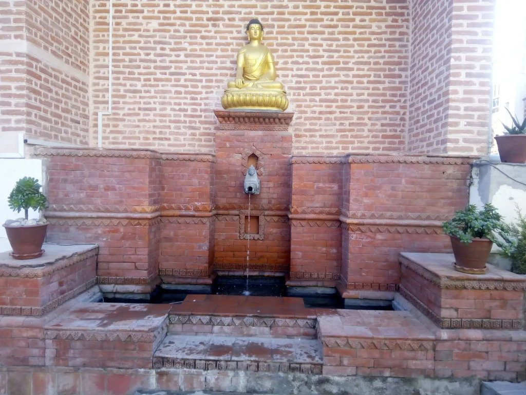 Image 14