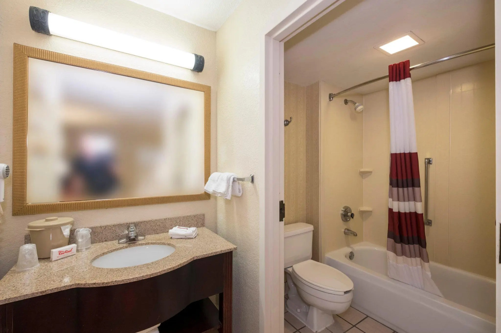Deluxe Double room (full double bed)