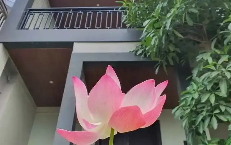 Villa Kencana Apel D5
