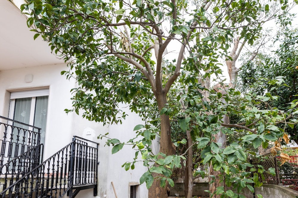 Villa Harmony Sorrento