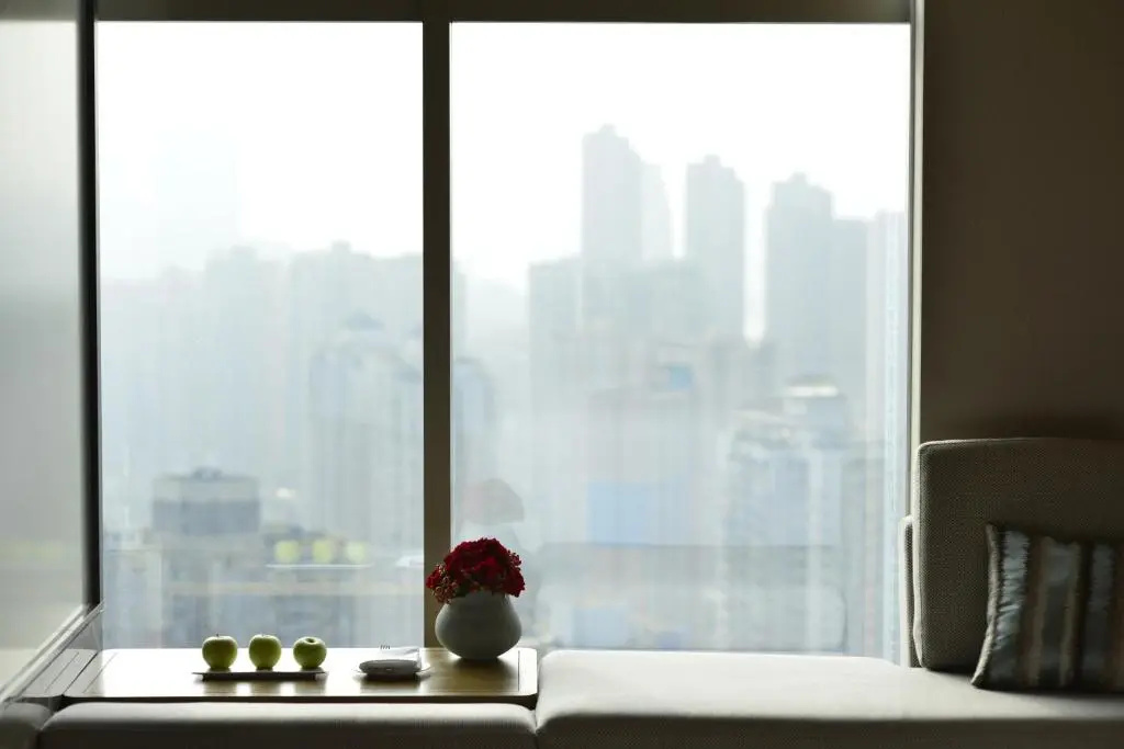 Deluxe Double room with mountain view (twin beds)