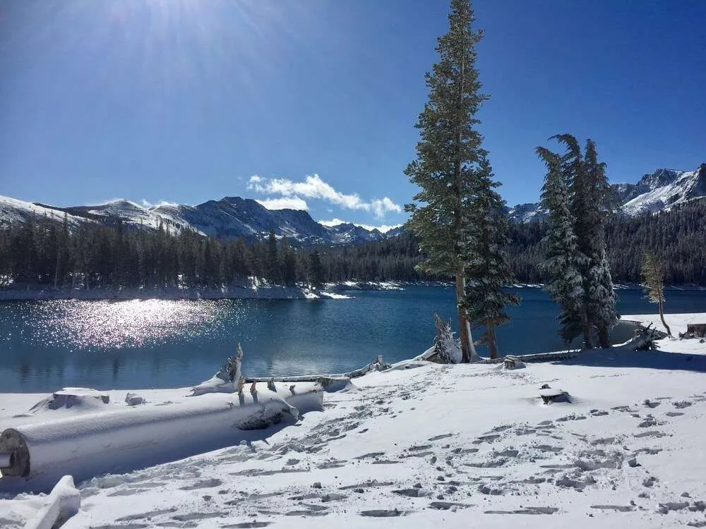 Snowcreek Retreat