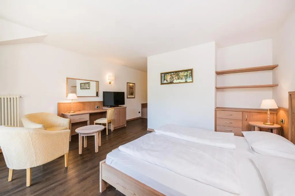 Standard Double room with mountain view (full double bed)