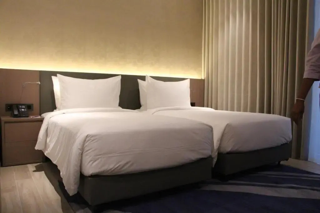 Deluxe Double room with mountain view (twin beds)