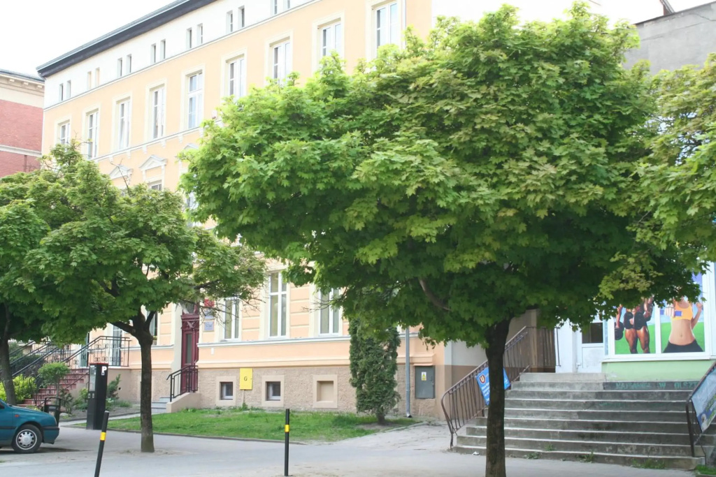 Apartament Centrum 3 Pokojowy
