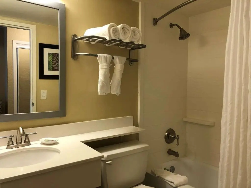 Palm Tree Club Miami Hotel - Chambres