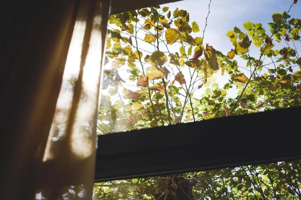 標準三人房，單人床