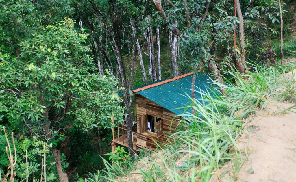 Ella Eco Lodge