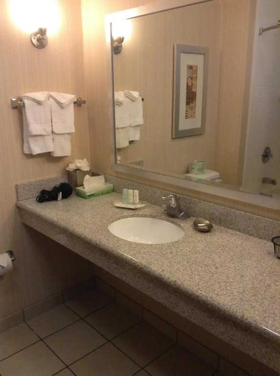 Holiday Inn Indianapolis Downtown by IHG - Général