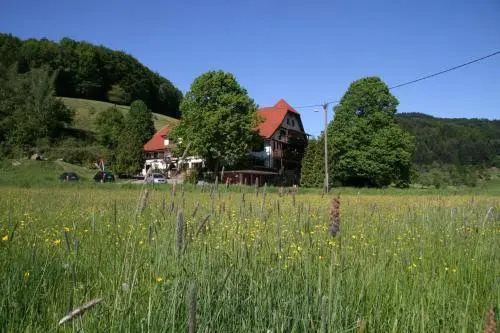 Hotel-Restaurant Kohlenbacher-Hof - Général