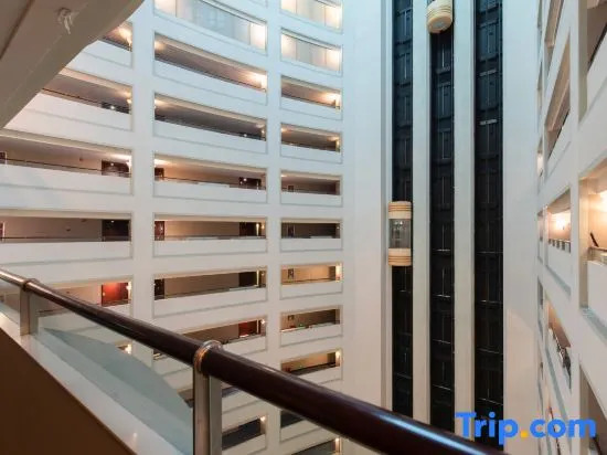 Wuzhou Hotel — фото 4