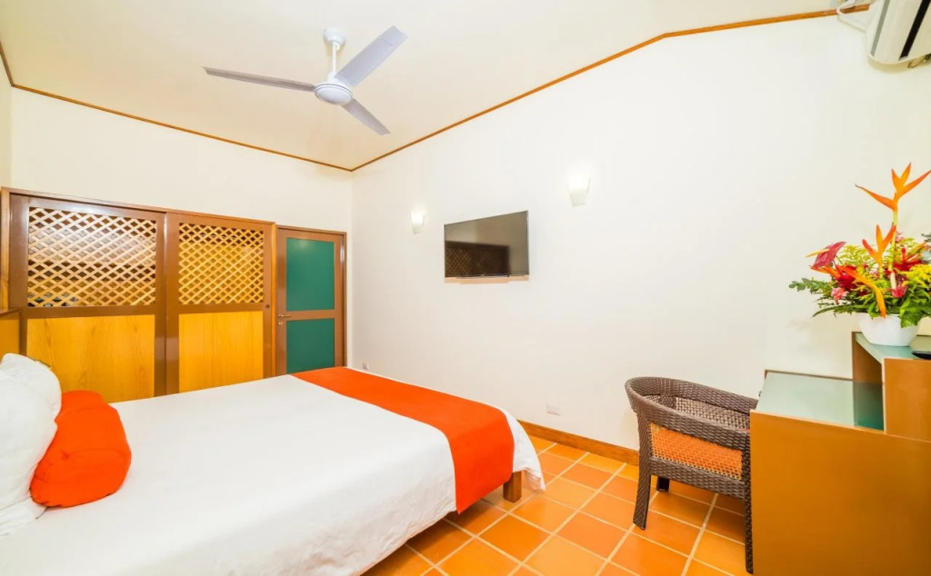 Hotel Palma de Oro - фото 2